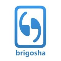 Brigosha Technologies logo